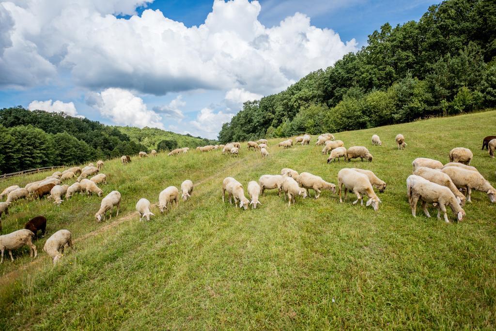 Buhta Vikingiv Hotel Vodniki Kültér fotó
